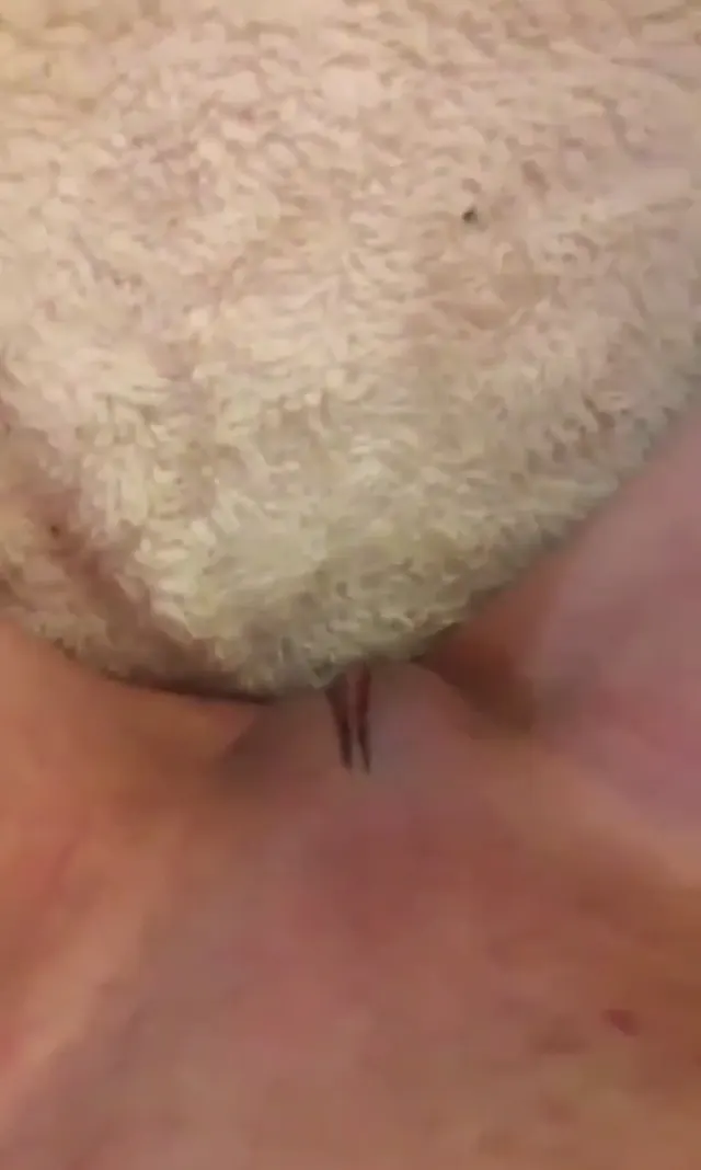 Kanka ayağı yapıp sikiyor — Amatör Porno · sahne 1
