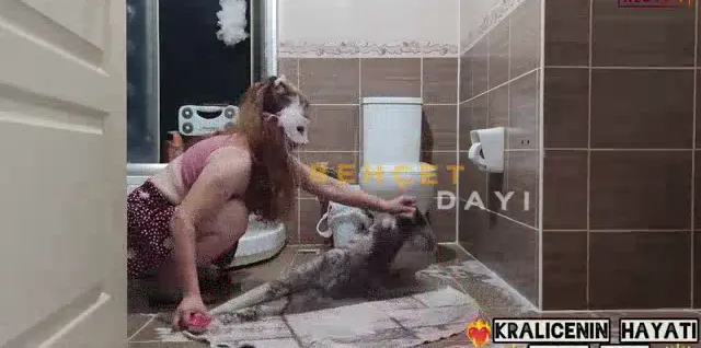 Kraliçenin Hayatı ifşa Katıl Youtube Part 8 seyret — Kraliçenin Hayatı — Bedava Porno · sahne 1
