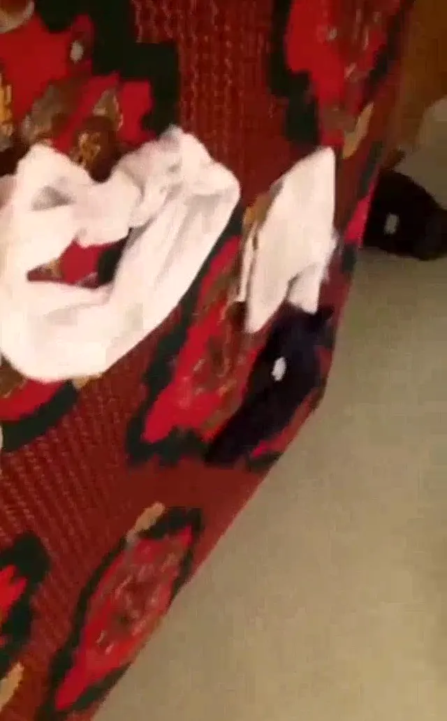 S2mle100lesh ifşa Kaşar kız nude video çekti — S2mle100lesh — Bedava Porno · sahne 3