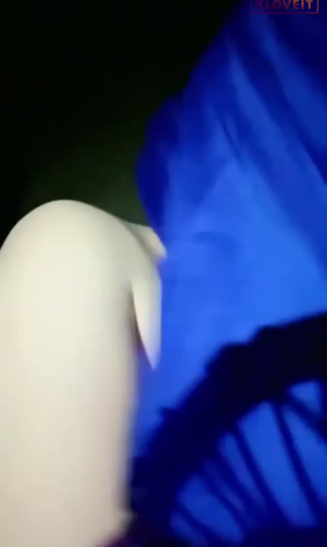 Eloşki — Türbanlı Eloşki ifşa Şişmanın normal yayın videosu · sahne 2