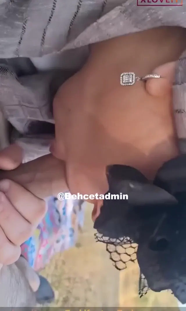 Türbanlı Porno Public Türk çift piknik bahanesiyle sikişti — Konulu Porno · sahne 1