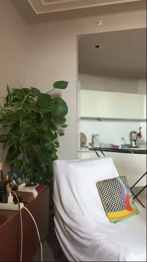 Serpilcansız — Serpil Cansız