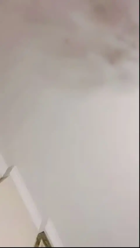 Abazaecem — Abaza Ecem — Türk ifşa