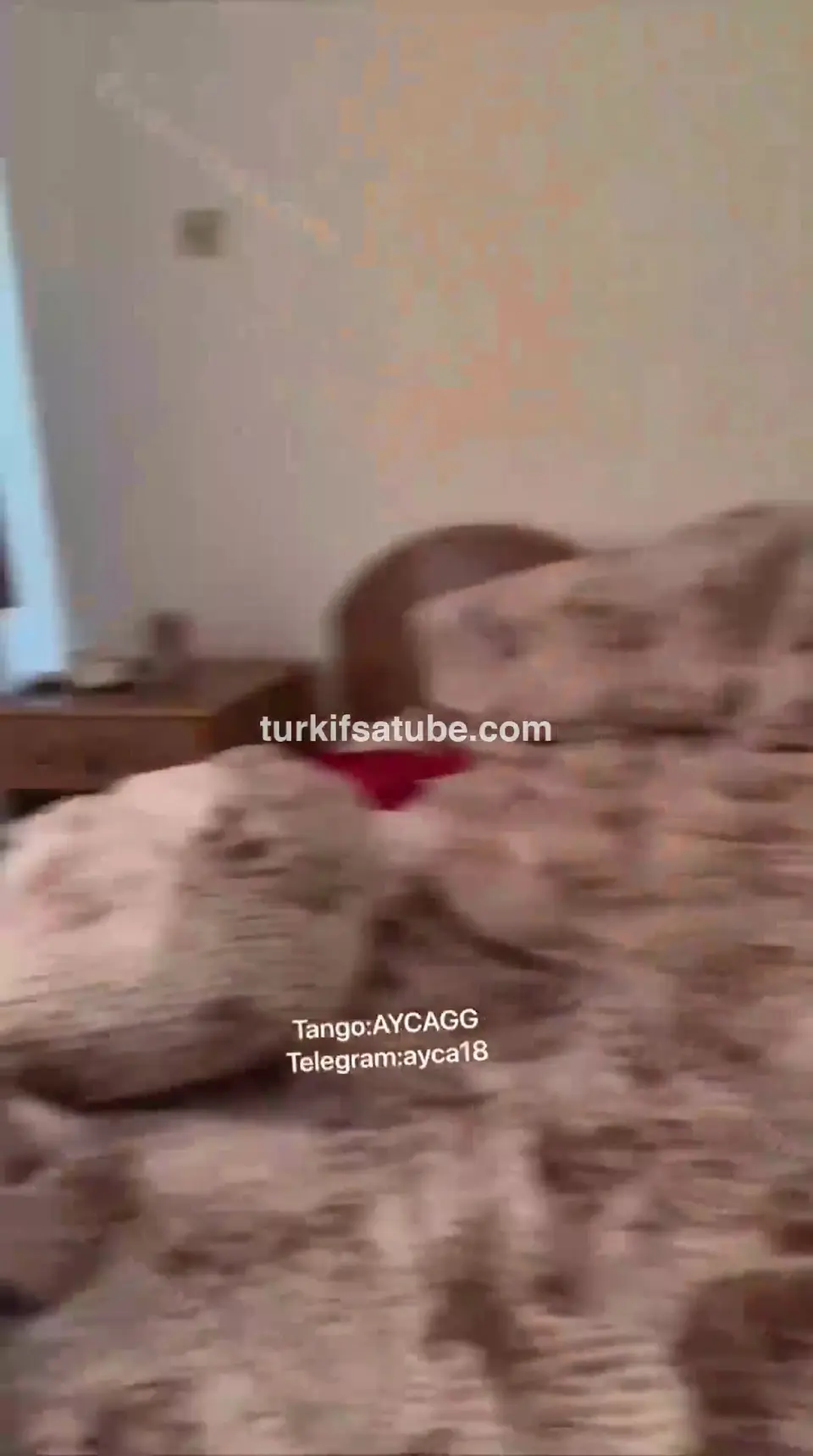 Ayça Çağan OnlyFans Videoları - Part 35 — Ayça Çağan — Türk ifşa