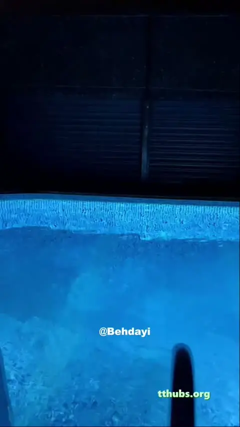 Serpil Cansız Tango Live 61 — Serpil Cansız — Canlı Yayınlar